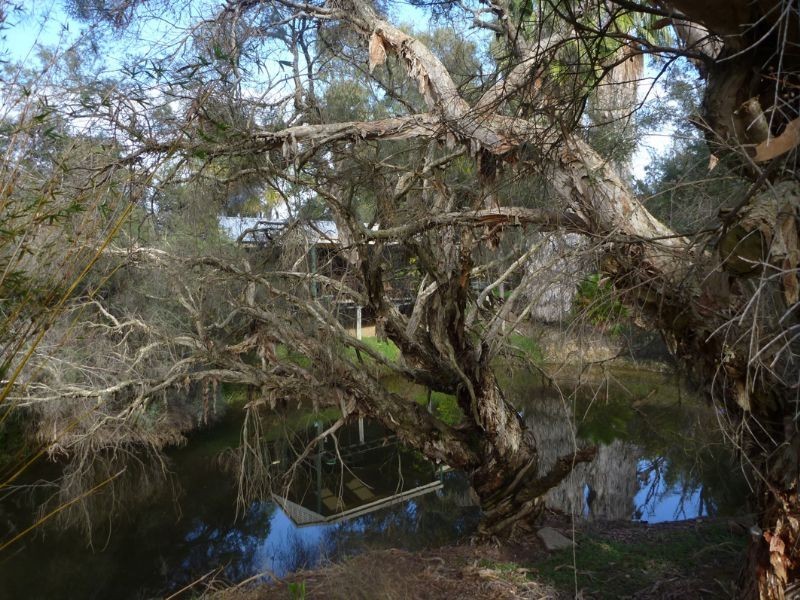 342 Young Road, Baldivis WA 6171