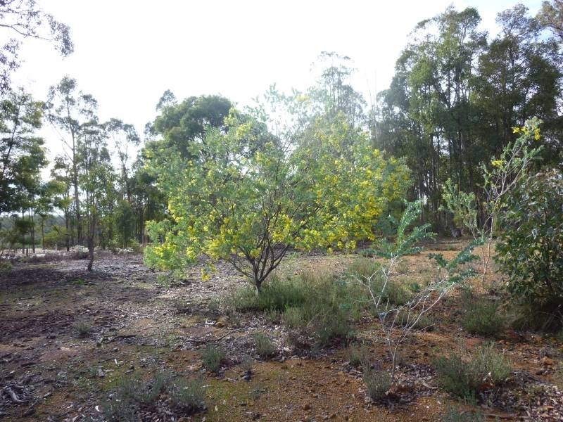 1  Kingsbury Drive, Jarrahdale WA 6124