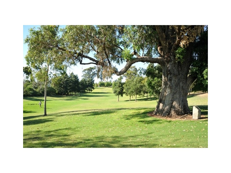 5 Britten Turn, Baldivis WA 6171