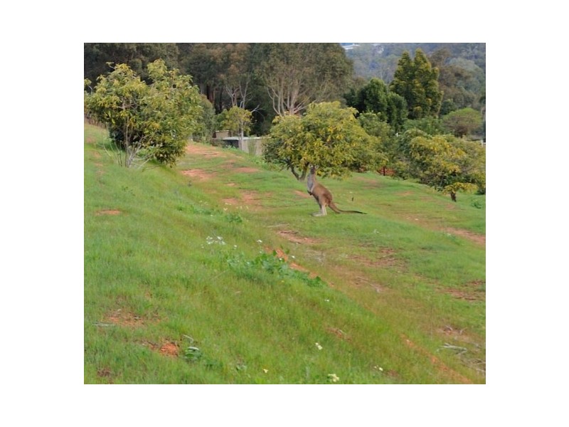 64 Canns Road, Bedfordale WA 6112