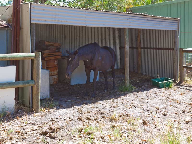 127 Spears Drive, Oakford WA 6121