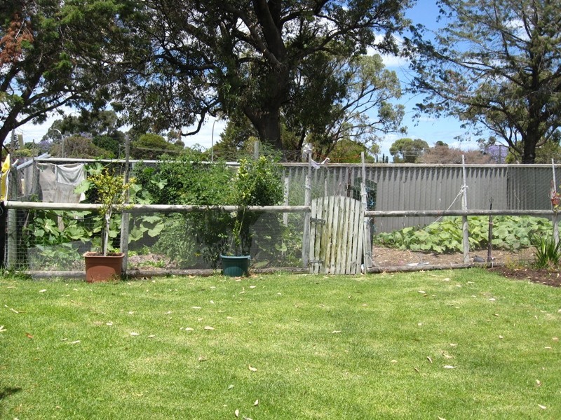 15 Tarup Place, Hillman WA 6168