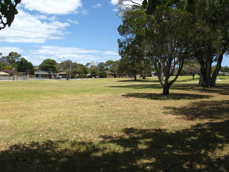 15 Tarup Place, Hillman WA 6168