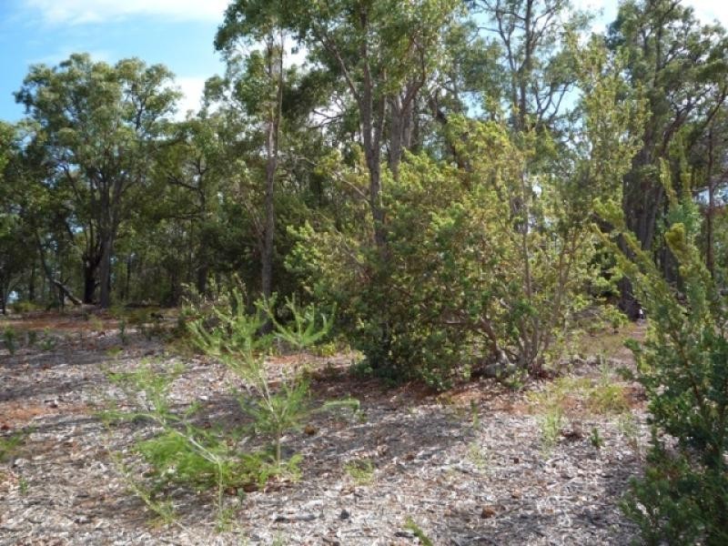 19 Blissett Drive, Bedfordale WA 6112