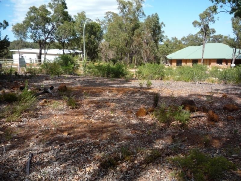 19 Blissett Drive, Bedfordale WA 6112