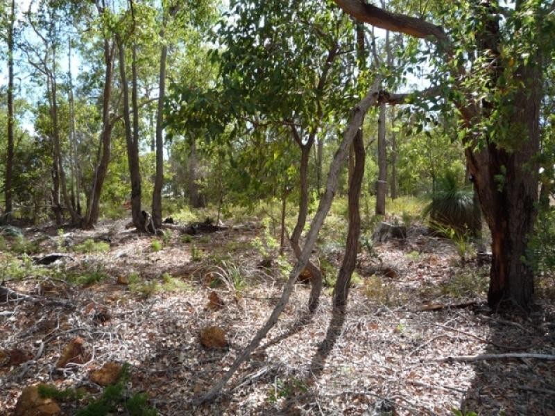 19 Blissett Drive, Bedfordale WA 6112