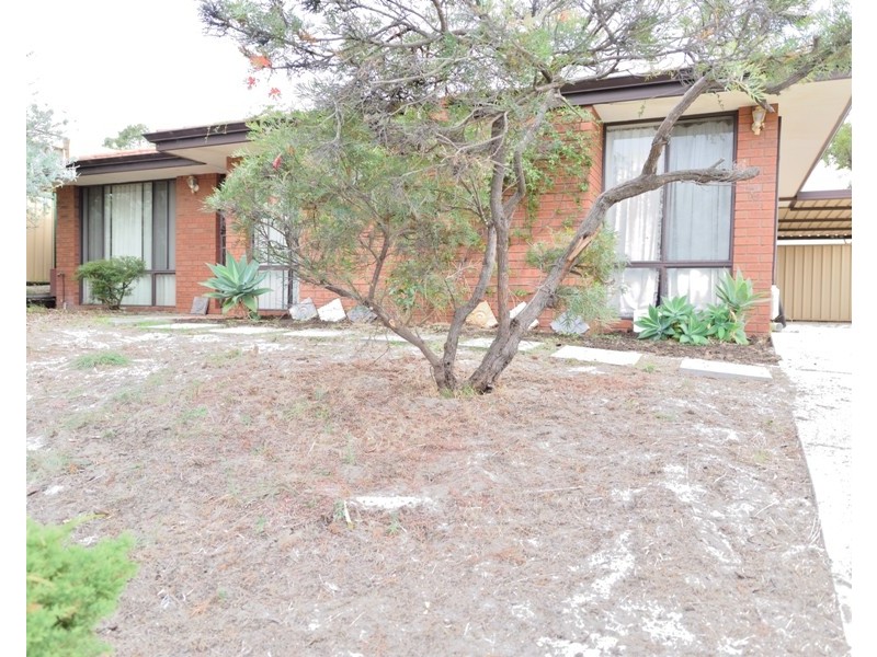 24 Larkspur Cross, Yangebup WA 6164