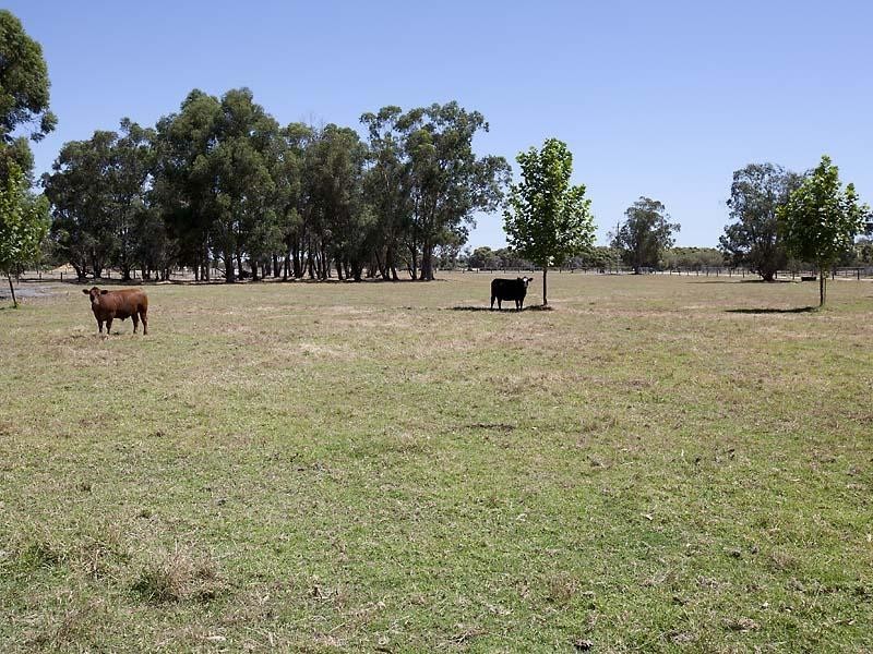 220 Duckpond Road, Wellard WA 6170