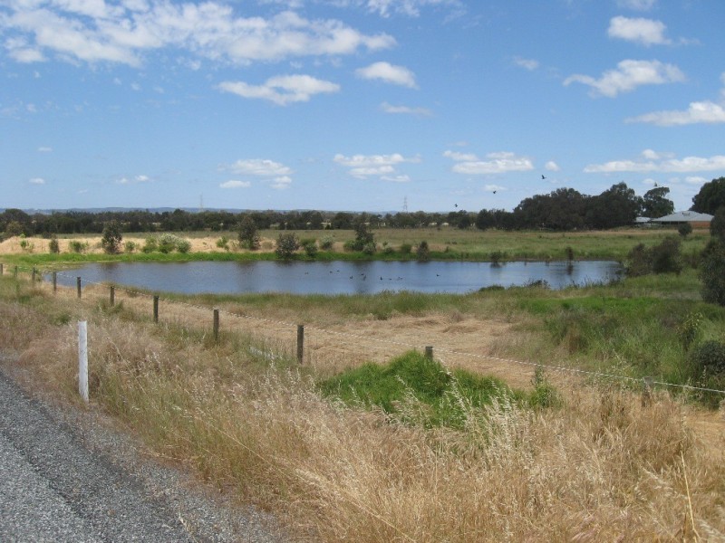Lot 2 Maldive Court, Baldivis WA 6171