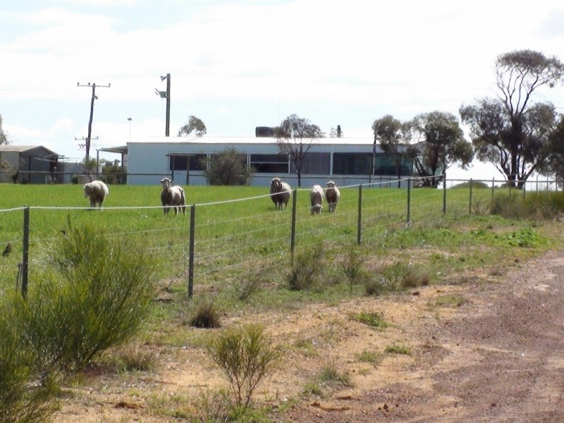 Lot 200 Wade Road, Three Springs WA 6519