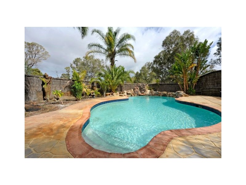 51 Wicksteed Close, Baldivis WA 6171