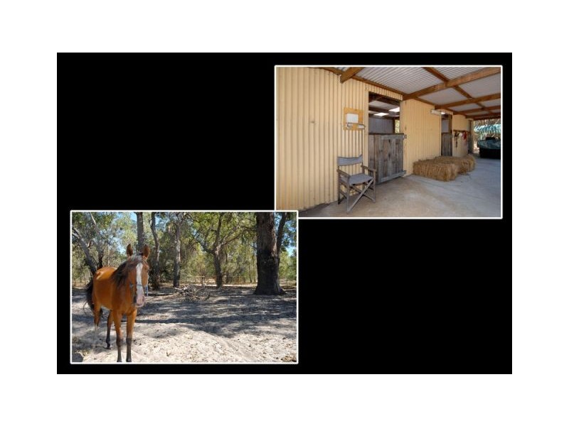 51 Wicksteed Close, Baldivis WA 6171