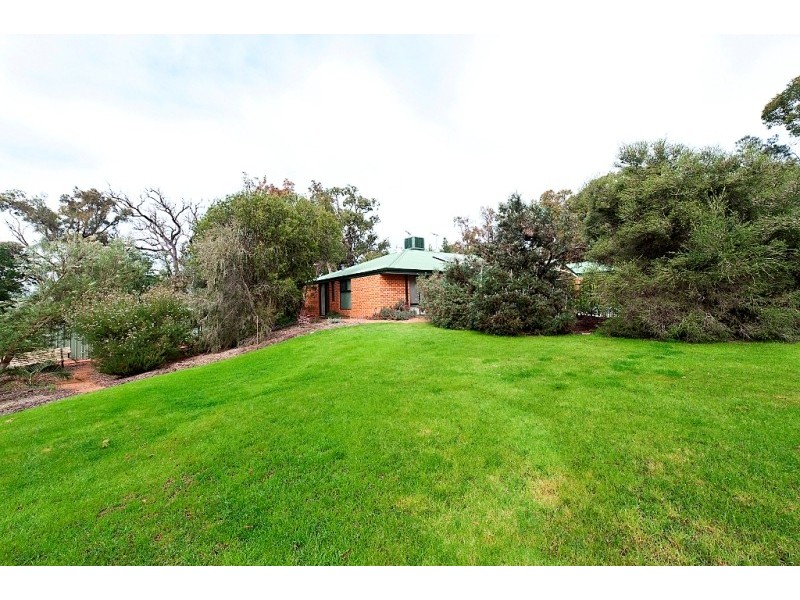 19 Shipwright Avenue, Wellard WA 6170