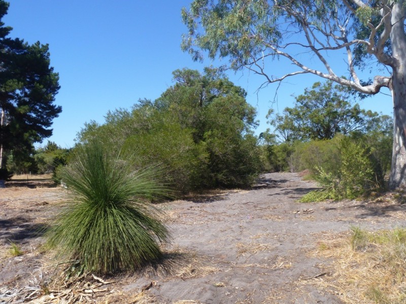 125A Cumming Road, Oakford WA 6121