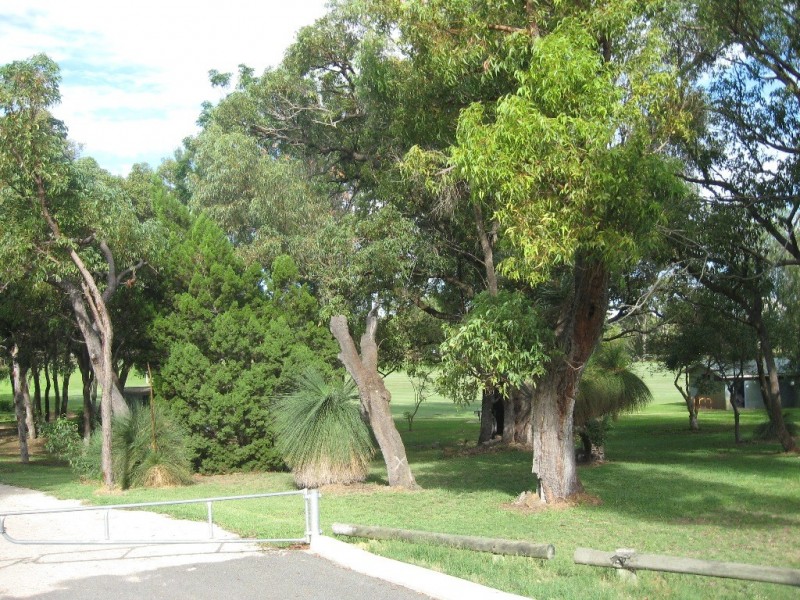 31 Walgreen Crescent, Calista WA 6167