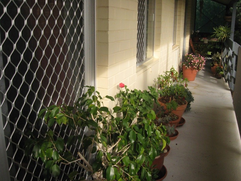 Unit 40, 19 Blackwood Avenue, Hamilton Hill WA 6163