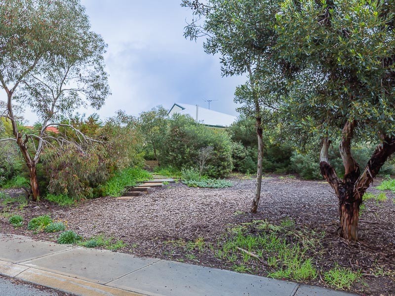 6 St Ives Cove, Warnbro WA 6169