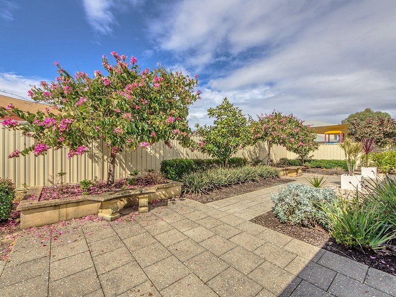 24 Vernon Gough Drive, Baldivis WA 6171