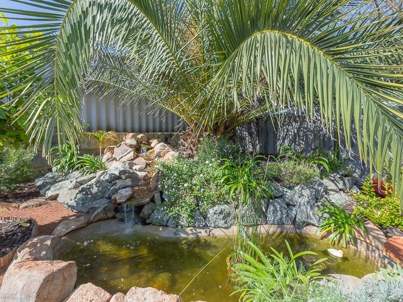 10 Brougham Crescent, Orelia WA 6167