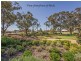 12 Colt Lane, Baldivis WA 6171