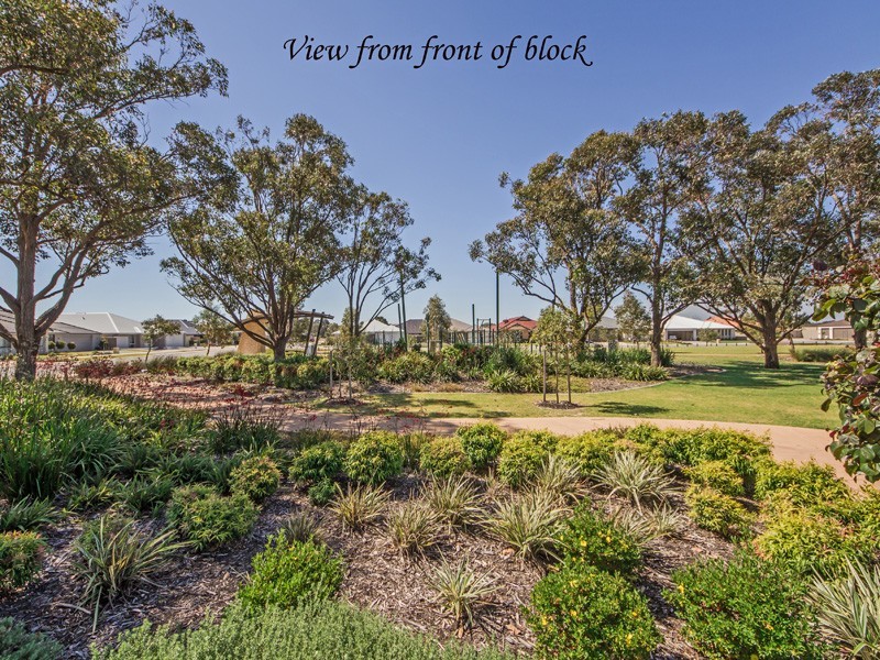 12 Colt Lane, Baldivis WA 6171