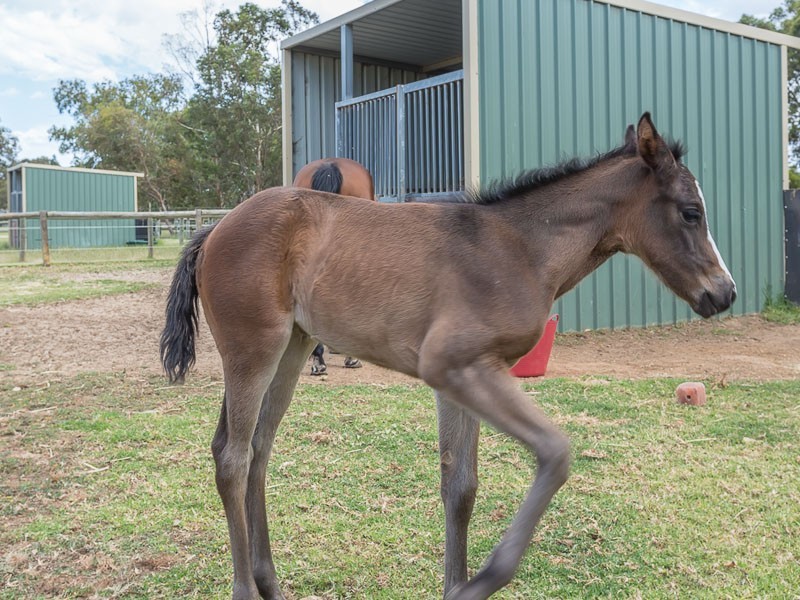 19 Randell Road, Mardella WA 6125