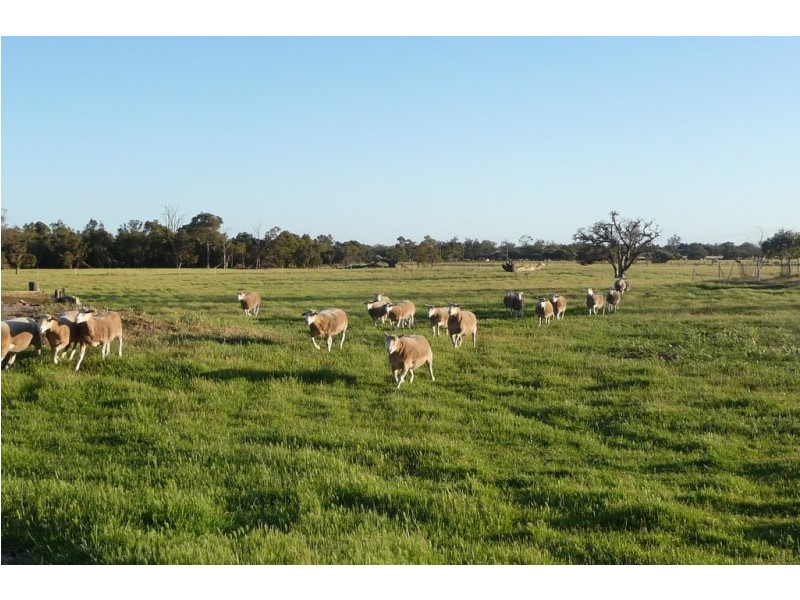 514 Hopeland Road, Hopeland WA 6125