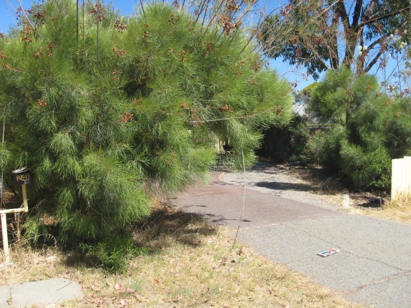 24 Madden Way, Parmelia WA 6167