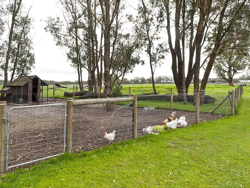 441 St Albans Road, Baldivis WA 6171