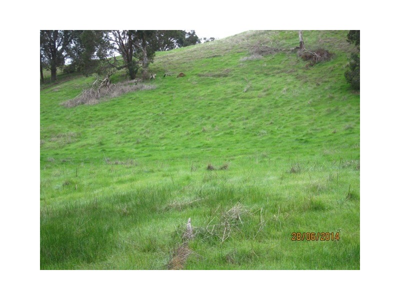 Lot 12 Joel Court, Ferguson WA 6236