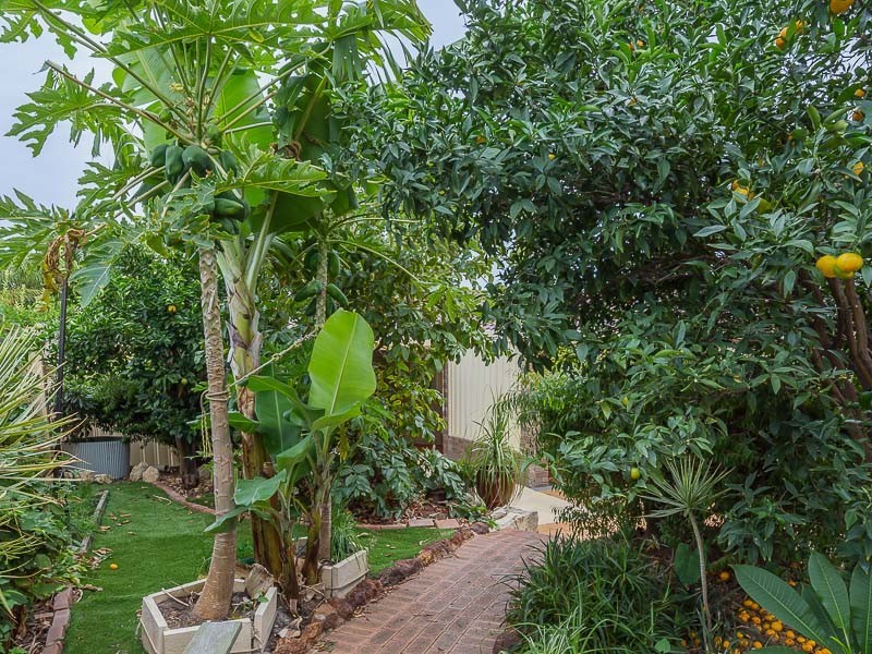6 Varris Way, Orelia WA 6167
