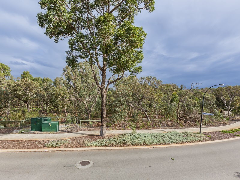 8 Cheltenham Loop, Bertram WA 6167