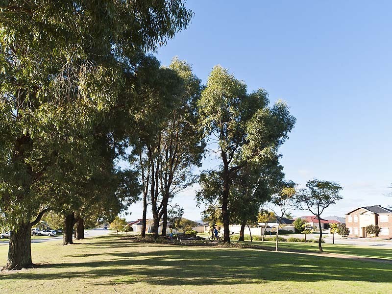 44 Parkfield Boulevard, Bertram WA 6167