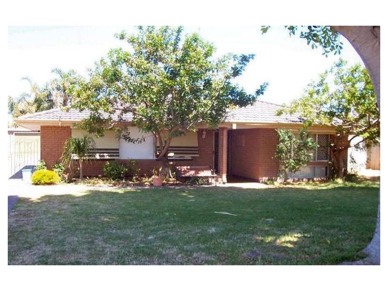 51 Norland Way, Spearwood WA 6163