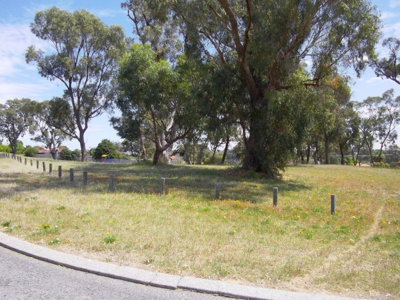 14 Cowling Way, Parmelia WA 6167