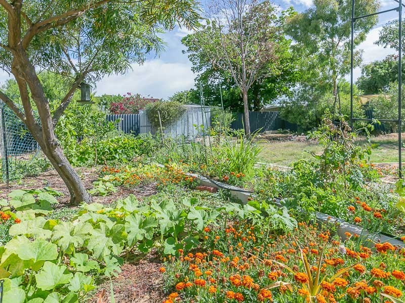 38 Summerton Road, Calista WA 6167