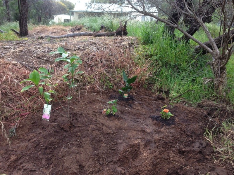 60 Roe Street, York WA 6302