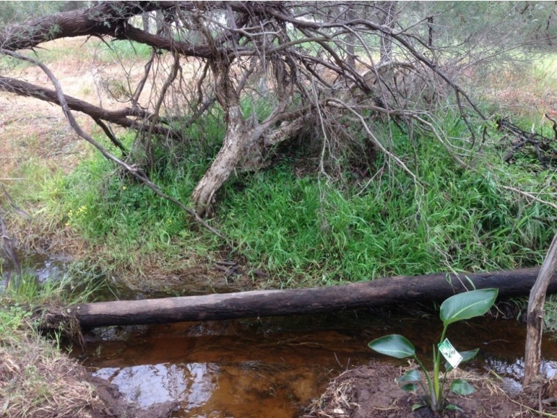 60 Roe Street, York WA 6302