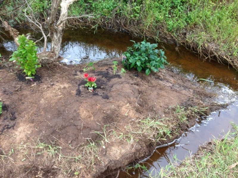 60 Roe Street, York WA 6302