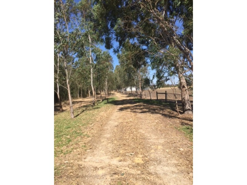 96 YOUNG ROAD, Baldivis WA 6171