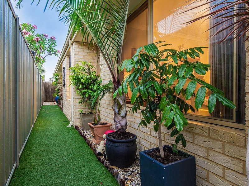 25 Wallingford Crescent, Wellard WA 6170