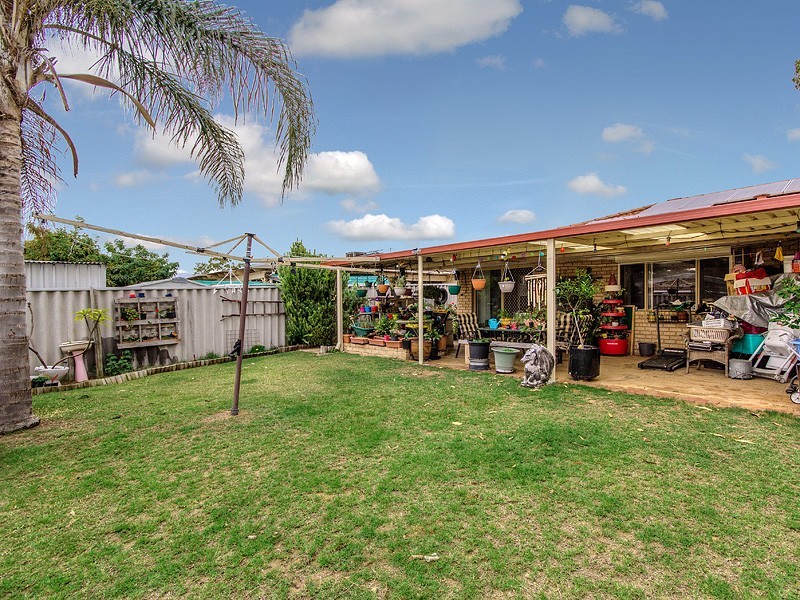 1 Stipling Gardens, Leda WA 6170
