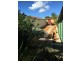 12 KARLAK CLOSE, Leda WA 6170