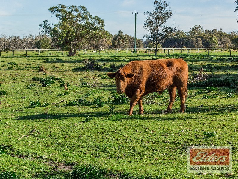 212 Duckpond Road, Wellard WA 6170