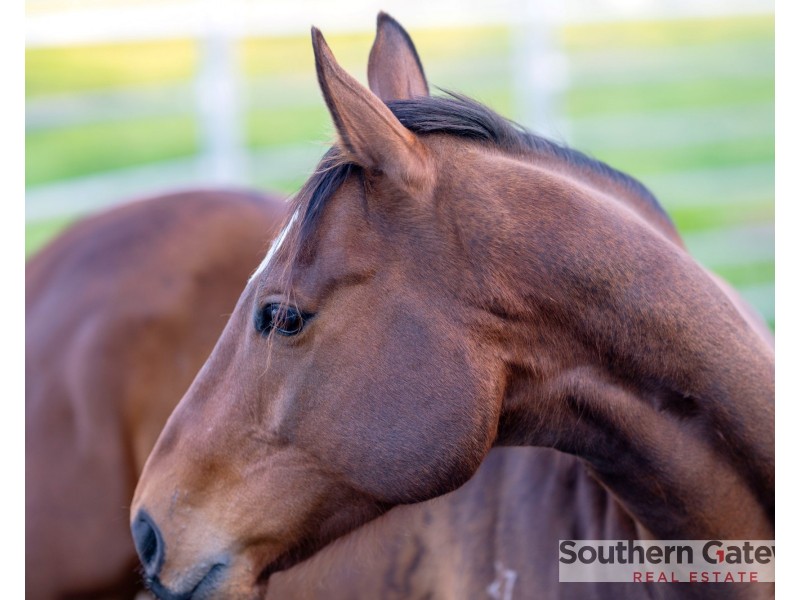 Lot 6 Maldive Court, Baldivis WA 6171