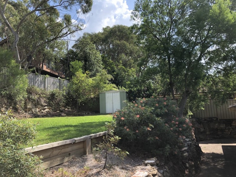 52 Arthurs Circle, Mount Colah NSW 2079