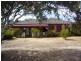 37 Undurra Drive, Wagga Wagga NSW 2650