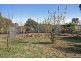155 Cummins Road, Wagga Wagga NSW 2650