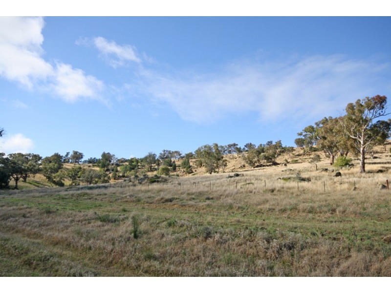 Lot 5  Adam Street, Oura NSW 2650