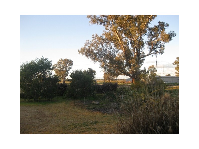 A “Bona Vista”, The Rock NSW 2655